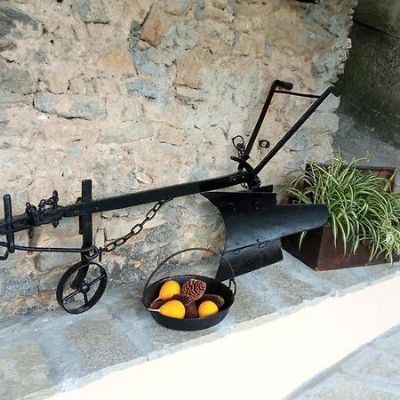 Agriturismo U'Spigu Nonna Annetta Nasino 외부 사진