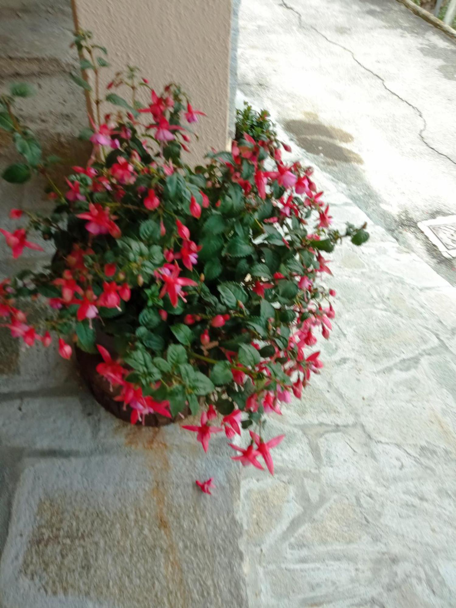 Agriturismo U'Spigu Nonna Annetta Nasino 외부 사진