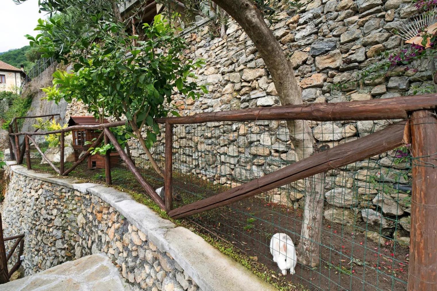 Agriturismo U'Spigu Nonna Annetta Nasino 외부 사진